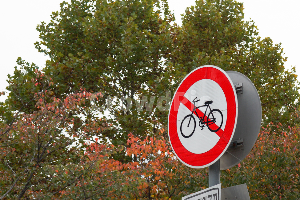 information board,Prohibition sign,bicycle,sign,road sign,coming and going,curfew,No bicycles,Prohibition notice,road name,prohibition,No entry