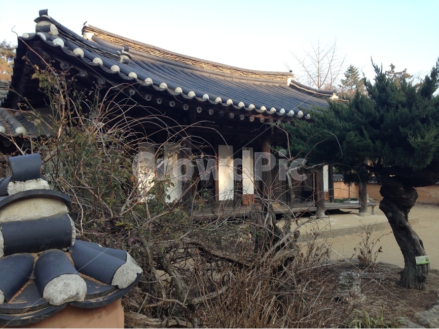 허난설헌생가,허난설헌,허균생가,허균,목조건축,고택,건축,한옥,기와,담장,강릉,대한민국,한국,heonanseolheonsbirthplace,heonanseolheon,heogyunsbirthplace,heogyun,woodenarchitecture,oldhouse,architecture,hanok,rooftile,wall,gangneung,republicofkorea,southkorea,한국전통,한국문화,korean traditional,korean culture,건축물,건물외관,exterior,building,structure,architecture,construction
