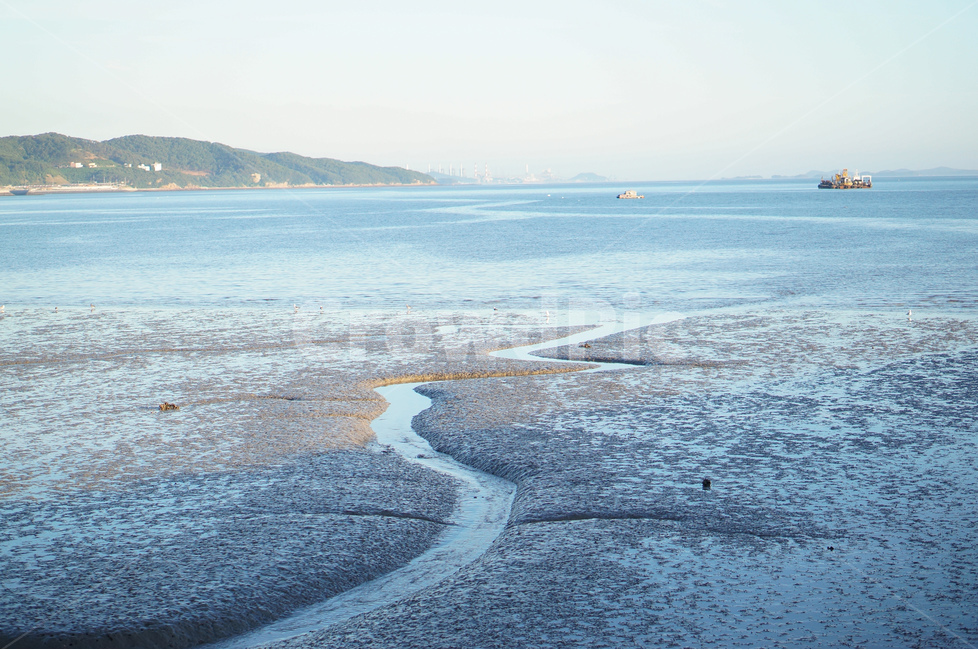 바다,남당리,갯벌,하늘,자연,갈매기,자연,풍경,nature,landscape