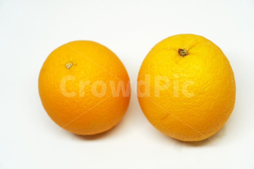 오렌지,누끼,과일,열매,orange,fruit,푸르트,디저트,식재료,cook,비타민,노랑색,노란색,생활용품,주방용품,음식,사물,물건,열대과일,누끼사진,오브젝트,object,요리,레시피,신선도,신선한,신선하다,싱싱한,싱싱하다,식자재,food,식품,meal,식물성,노랑,노란,yellow,vegetable,농작물,농산물,먹거리,먹을거리,먹을거,먹을것,음식,식재료,요리,food,cook,meal,dishes,food reserves,과일,열매,fruit,누끼,remove background