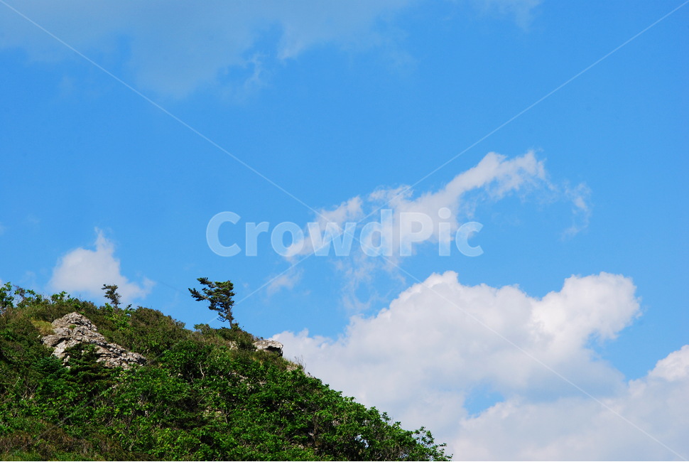 구름,산,능선,하늘,맑음,파랑색,블루,sky,cloud,clean,환경,바탕,배경,백그라운드,푸른,화창한,background,청명,blue,산아래,풍경,landscape,등산,mountain,healing,힐링,뭉게구름,맑은날,높은산,산위에서,한계령,나무,홀로,자연,풍경,nature,landscape,outdoors,옥외