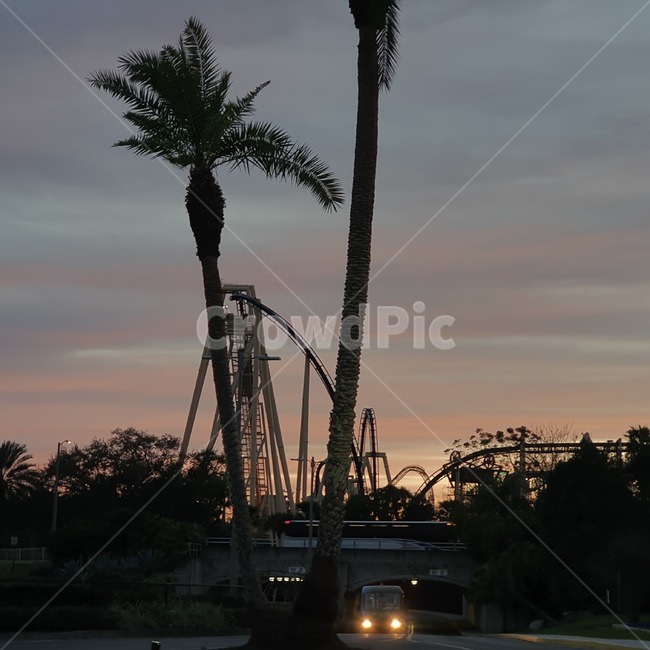 amusementpark,놀이공원,야자수,석양,palmtree,sunset,florida,플로리다,summer,여름