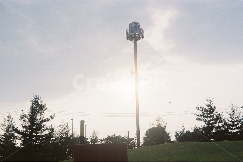 풍경,언덕,빛,햇빛,나무,light,sunlight,오후,낮,tree,여름,film,필름,summer