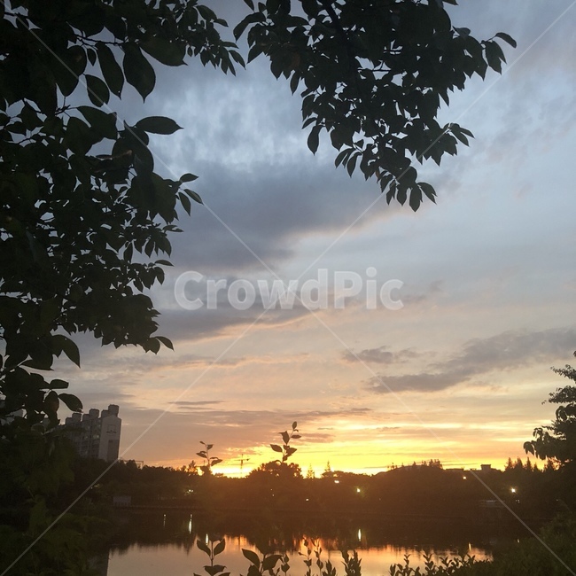 하늘,노을,해,일몰,호수,배경,sunset,tree