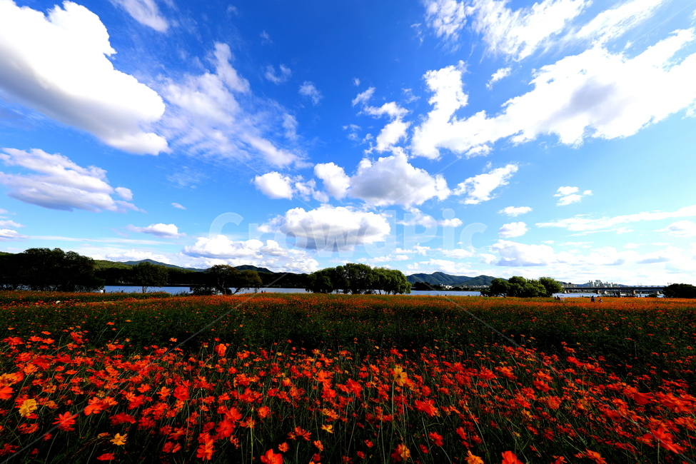 풍경,가을,계절,강,호수,가을,계절,fall,autumn,season,자연,풍경,nature,landscape