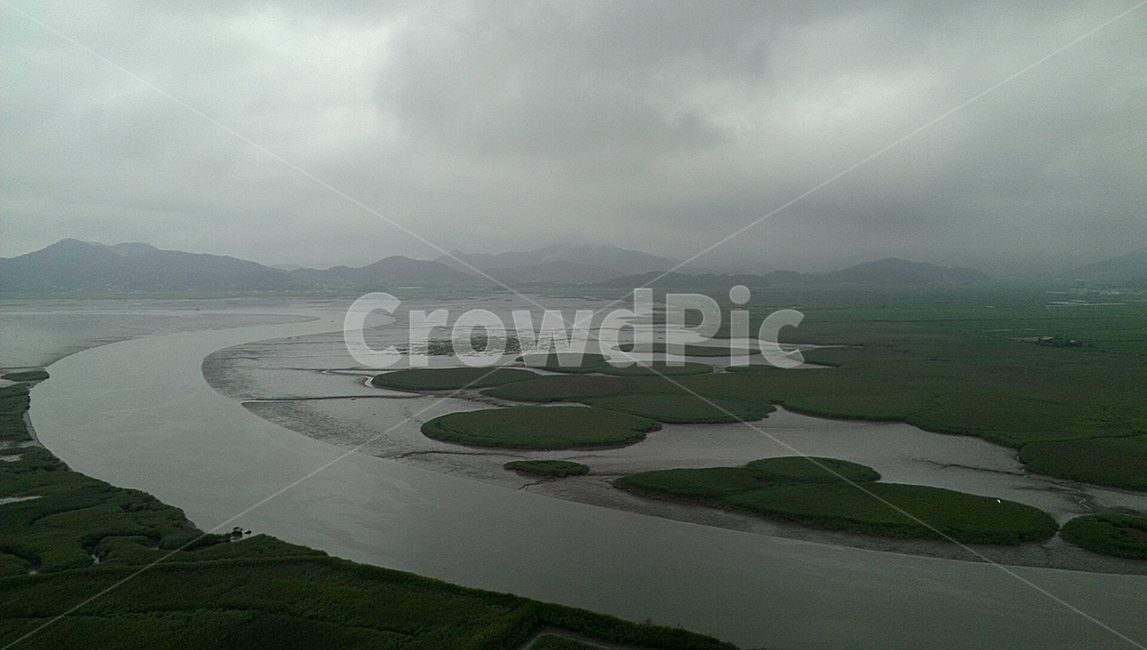 순천만,습지,여름순천만,비오는날,먹구름,자연,풍경,nature,landscape