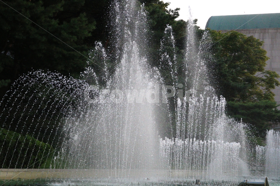 분수,분수대,물,공원,예술의전당,나무,소나무,자연,풍경,nature,landscape,water