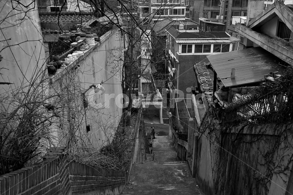 흑백,모노,골목,재개발,재건축,계단road,downhill,monotone,alley,byway,narrowroad,골목길,alley,흑백,모노톤,monochrome,black and white,nature,자연