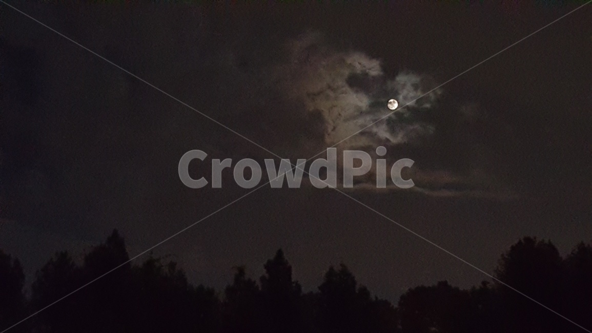 짙은밤,어두운밤,깊은밤,달구름,구름,달밤,midnight,deadofnight,moon,cloud,야경,밤,풍경,nightscape,night,landscape,nature,자연,outdoors,옥외