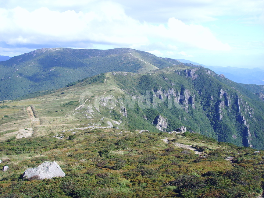 산,가을,가을산,영남알프스,갈대,신불산,영축산,가지산,구름,파란하늘,청명한하늘,자연,풍경,nature,landscape,한국자연풍경,한국자연경관,korea nature landscape,slope,경사,outdoors,옥외,hill,언덕