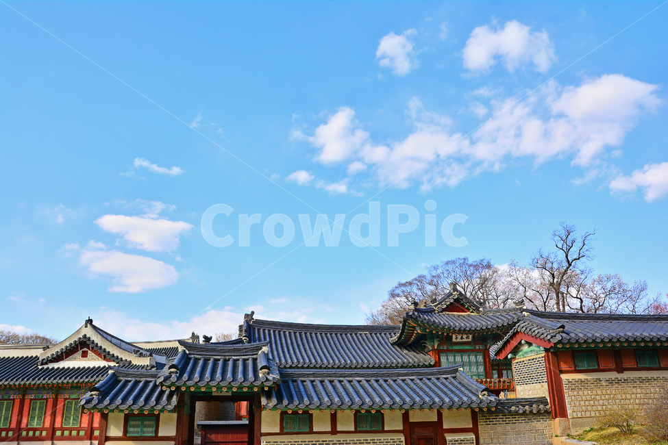 한국전통,고궁,궁궐,창덕궁,전통,배경,바탕,백그라운드,korean,traditional,ancientpalace,spring,시즌,계절,조선시대,건축물,서울,기와집,하우스,집,한국적,코리안,나무,하늘,구름,한국전통,한국문화,korean traditional,korean culture,랜드마크,landmark,tourist attraction,한국랜드마크,한국관광지,한국명소,korea landmark,korea tourist attraction,건축물,건물외관,exterior,building,structure,architecture,construction