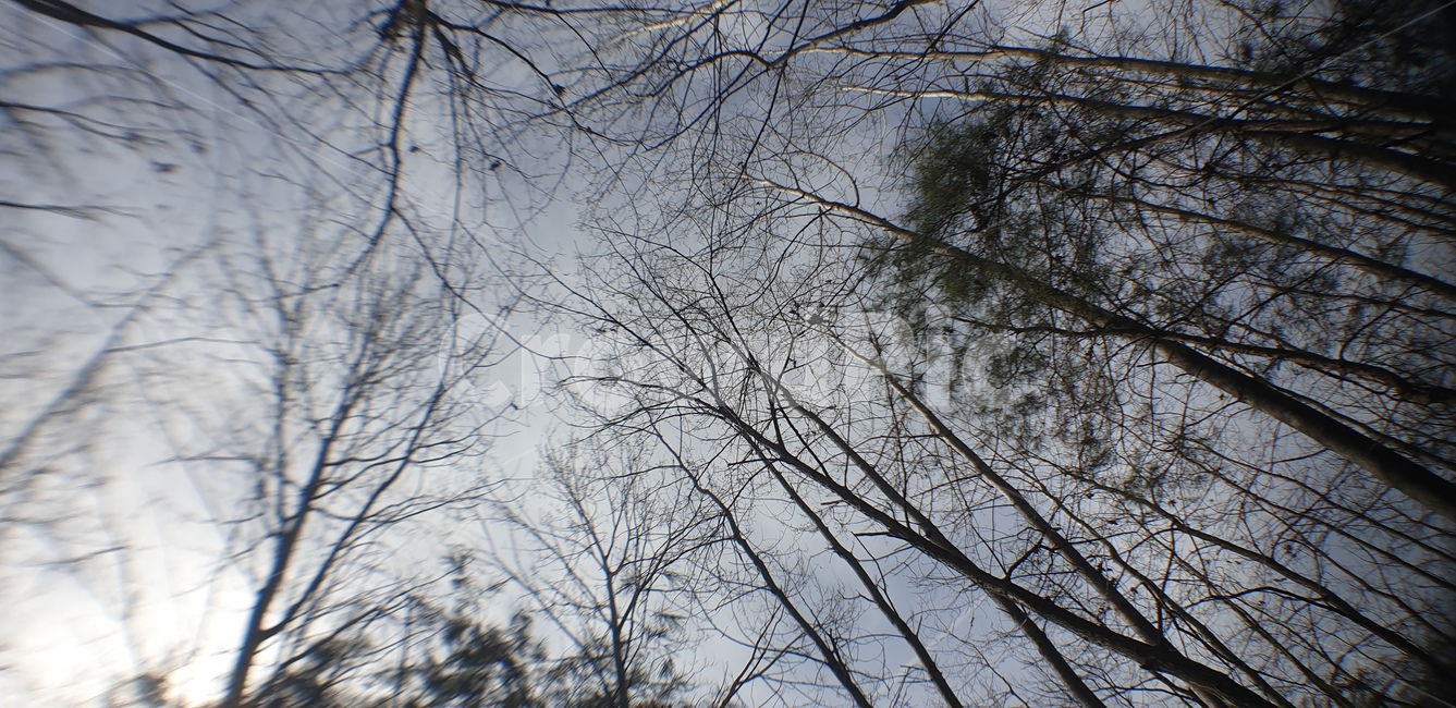 하늘,산,풍경,나무,자연