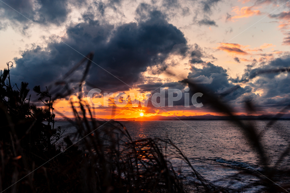 일몰,sunset,악어바위,호미곶,갈대,cumulus,적운,dusk,황혼,redsky,붉은하늘,자연,풍경,nature,landscape