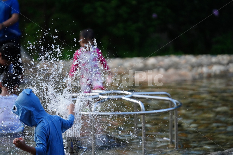 물줄기,물놀이,피서,물,person,사람,human,인간,water