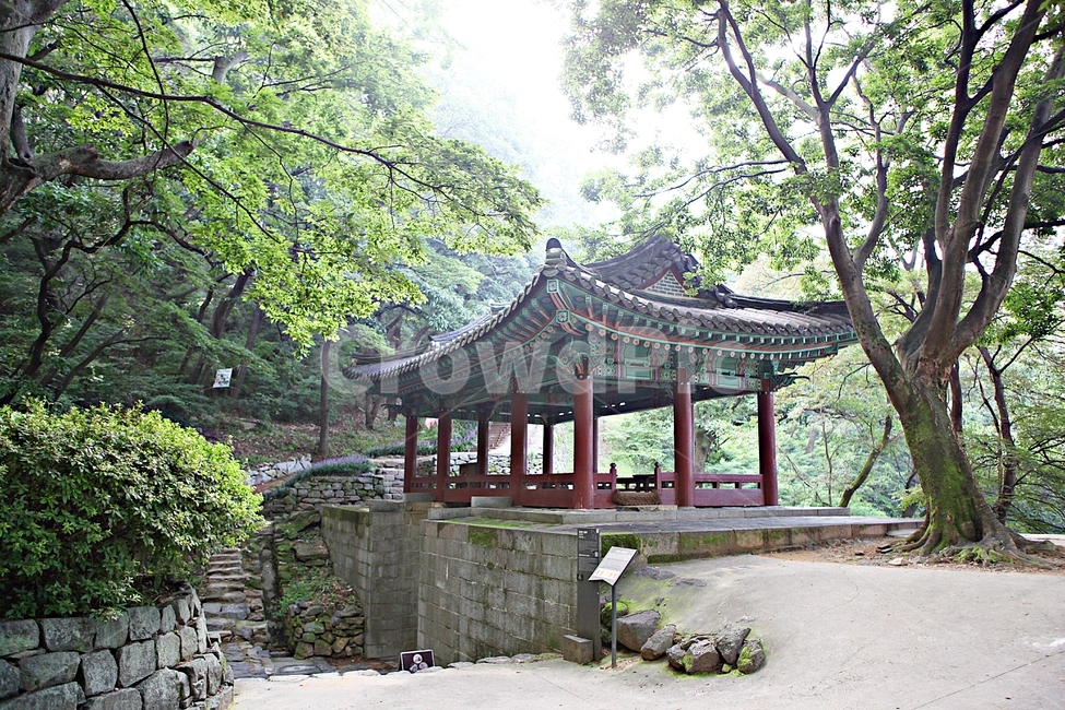 공주산성,산성,성,성곽,길,둘레길,숲,숲길,안개,담,돌담,여름,풍경,흙담,나무,식물,유네스코등제