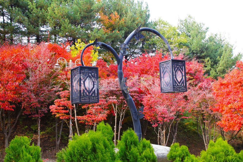 공원,가로등,나무,숲,나뭇잎,청사초롱,초롱,초롱불,가을,계절,fall,autumn,season,사물,물건,오브젝트,thing,object,matter