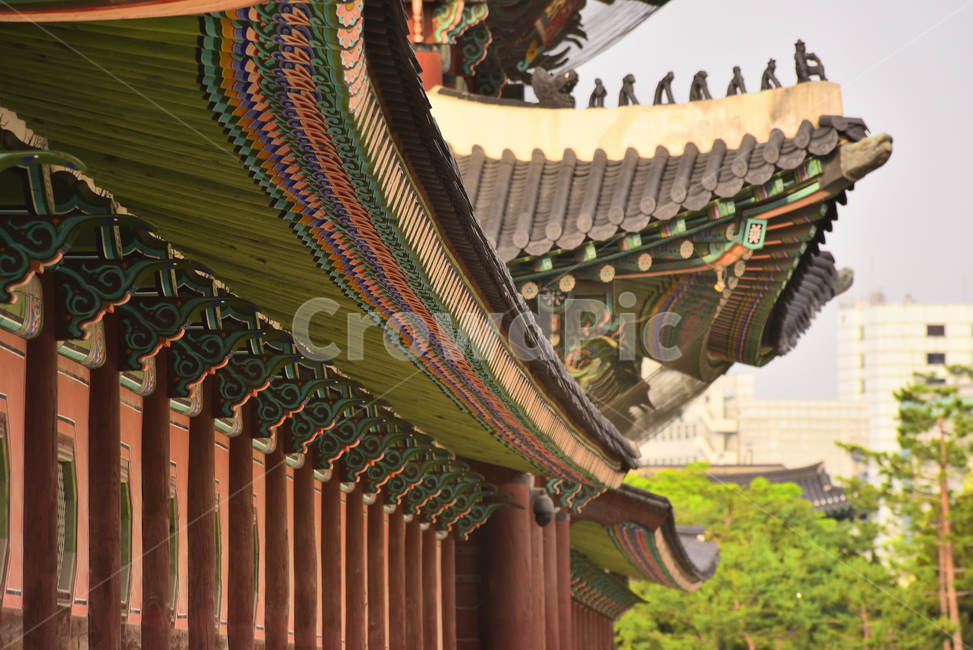 한국전통,고궁,경복궁,처마,단청,궁궐,건축물,장인,한국적,코리안,traditional,palace,korean,pattern,old,보존,전통문화,기와,라인,서울,한국전통,한국문화,korean traditional,korean culture,건축물,건물외관,exterior,building,structure,architecture,construction