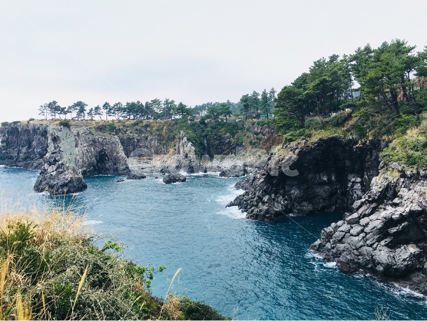 외돌개,제주도,바다,자연,바위,갈대,나무,소나무,sea,stone,nature,blue,파랑,풍경,landscape,봄,계절,spring,season,자연,풍경,nature,landscape,한국자연풍경,한국자연경관,korea nature landscape,제주도,jeju,jeju island,promontory,곶,water,물,shoreline,해안선,outdoors,옥외,ocean,대양,cliff,낭떠러지,land,땅