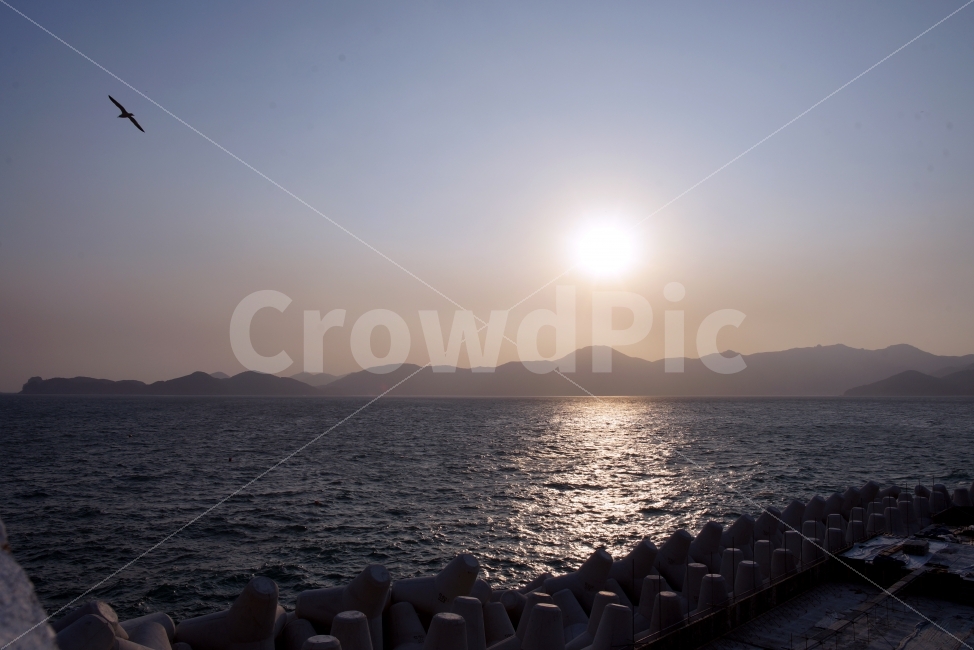 경남통영,외도,석양,갈매기,바다,자연,풍경,nature,landscape,한국자연풍경,한국자연경관,korea nature landscape,flare,플레어,light,빛,sunlight,햇빛