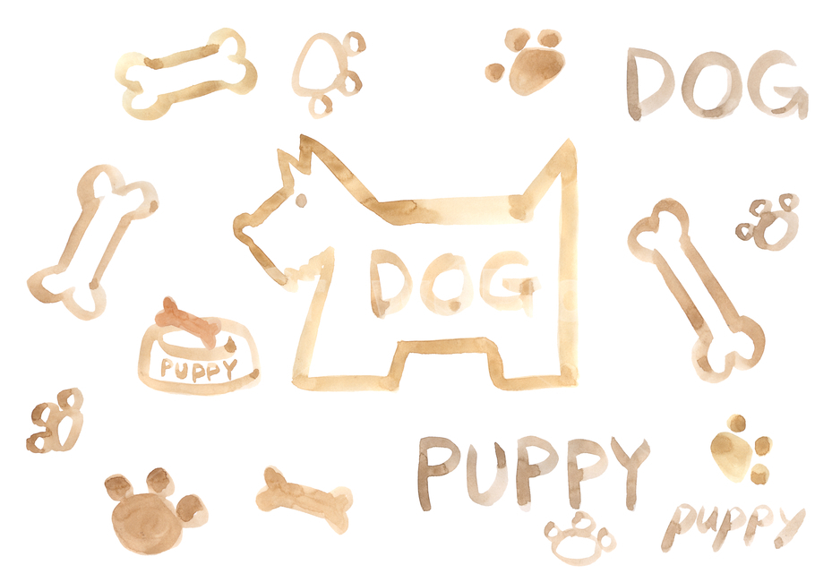 개,애완동물,사료,개껌,강아지,texture,애완견,기하학무늬,수작업,일러스트,도형,수채화,손그림,발자국,퍼피,동물,그래픽,일러스트레이션,graphic,illustration