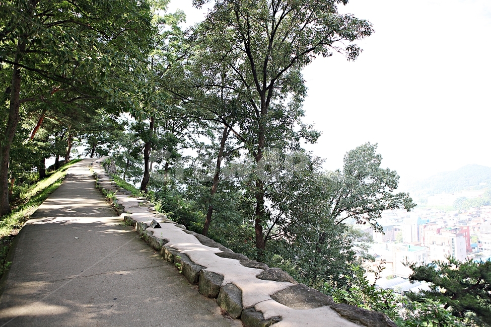 공주산성,성,산성,성곽,길,둘레길,숲,숲길,담,돌담,여름,풍경,벽,방어벽,흙담,나무,식물,유네스코등제