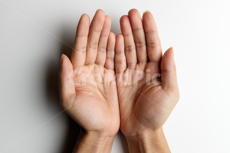 손바닥,손가락,손톱,신체부위,손,손금,사람손,성인,남자,클로즈업,엄지손가락,검지손가락,중지손가락,약지손가락,새끼손가락,신체부분,신체일부,몸,body