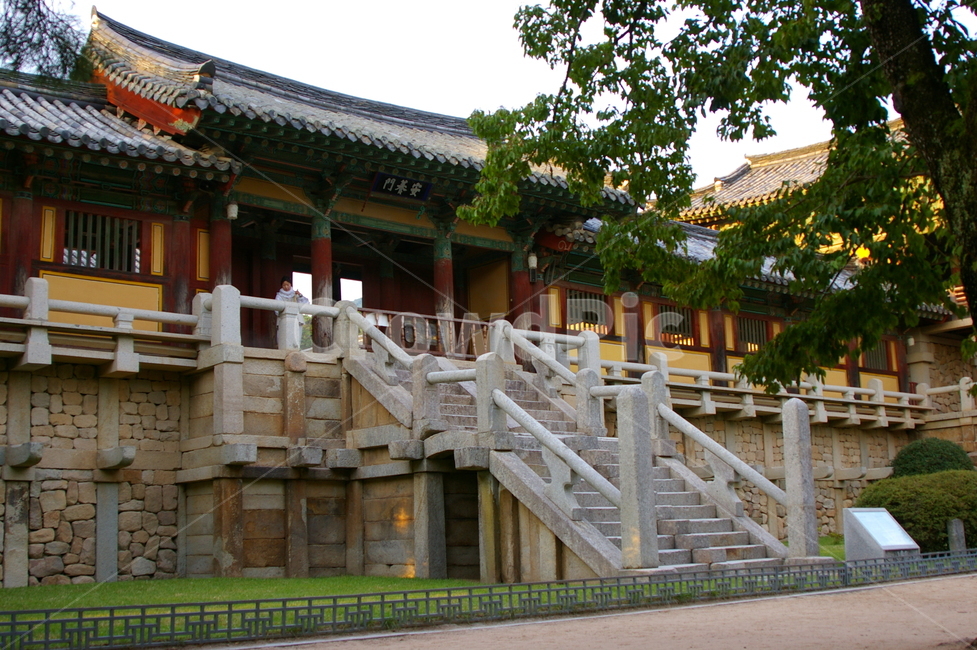 경주,풍경,자연,야외,옥외,가을,난간,불국사