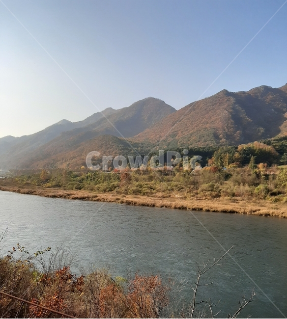 남이섬,강,옥외,풍경,산,forest,nature,자연,outdoors,자연,풍경,nature,landscape