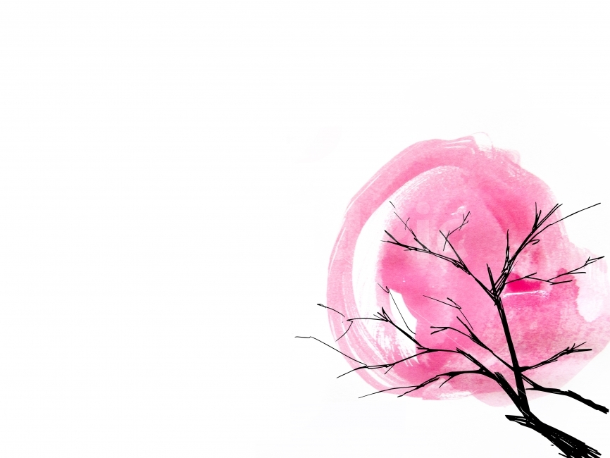 cherry,image,Cherry Blossom,tree,flower tree,flower,cherry blossom tree,spring,emotional picture,painting,season,illustration,card