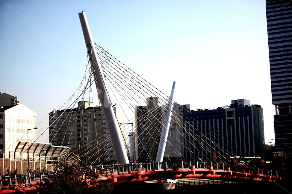 아파트,다리,건물,building,도시,시티,city,조형물,하늘