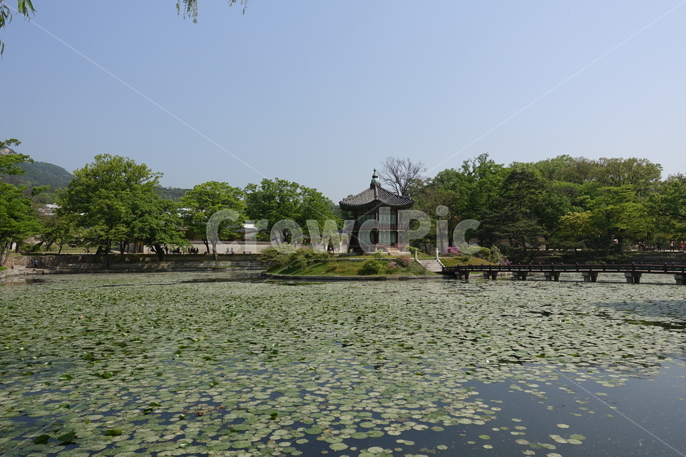 경복궁,한옥,한국,풍경,연못,궁,한국궁