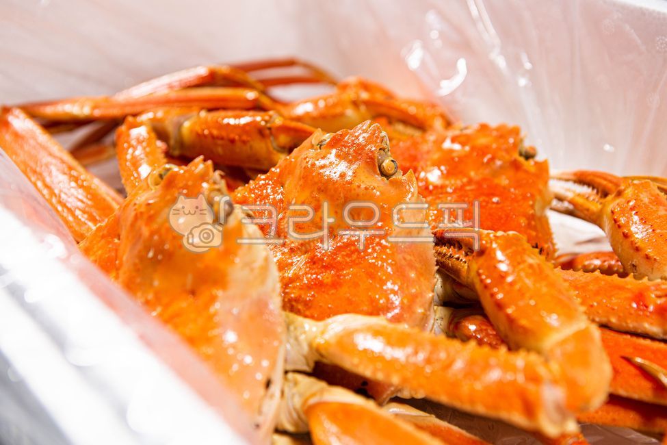 러시아대게,대게,홍게,킹크랩,대게찜,홍게찜,영덕대게,동해안대게,음식,식재료,요리,food,cook,meal,dishes,food reserves