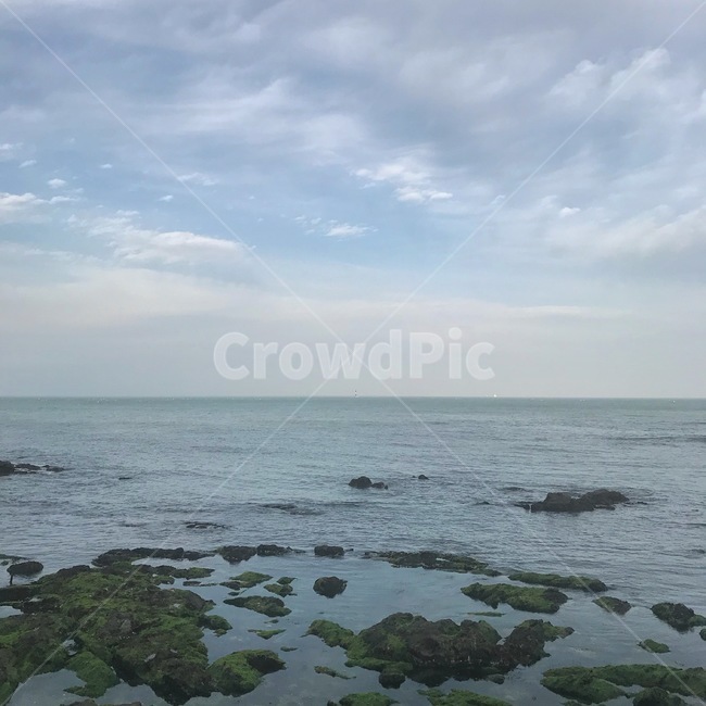 바다,부산,송정,자연,풍경,하늘,구름,자연,풍경,nature,landscape,plant,식물,promontory,곶