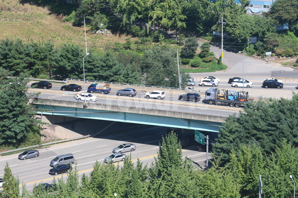 도로,주행,교차로,차량,정체,교통,교통수단,traffic,transportation