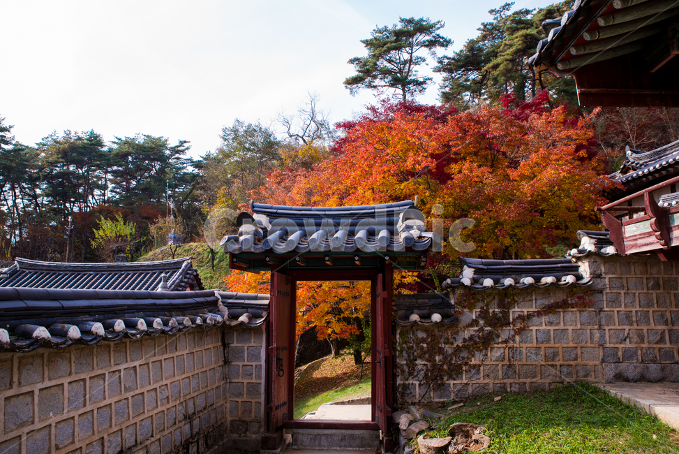 문,가을,door,fall,배경,구도,자연,서원,도산서원,도산,가을,계절,fall,autumn,season,한국전통,한국문화,korean traditional,korean culture