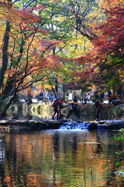 person,사람,human,인간,tree,나무,plant,식물,선운사,단풍,가을,poliage,fall,autumn,friendship,가을,계절,fall,autumn,season,자연,풍경,nature,landscape