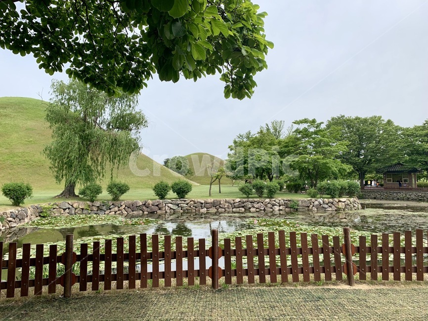 자연,경주,울타리,왕릉,연못,목초지