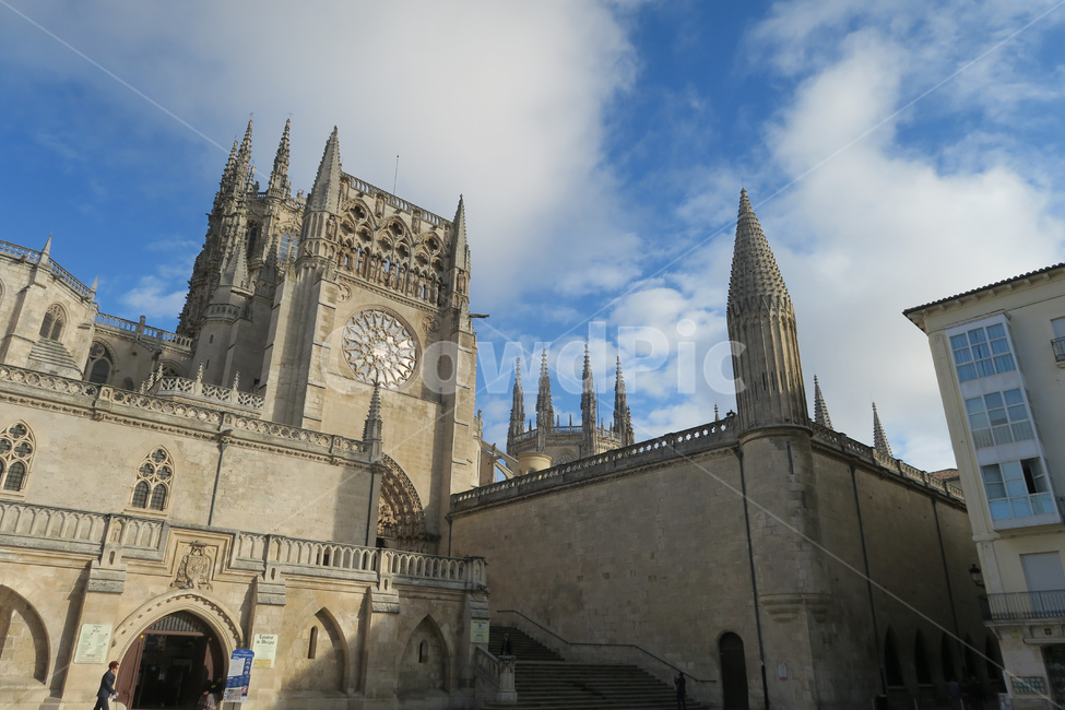 스페인,spain,españa,산티아고순례길,순례길,caminodesantiago,camino,건축,arquitectura,대성당,성당,부르고스대성당,부르고스,burgos,교회,장식,decoration,tower,탑,architecture,건축물,steeple,뾰족한탑,building,건물,person,첨탑,spire