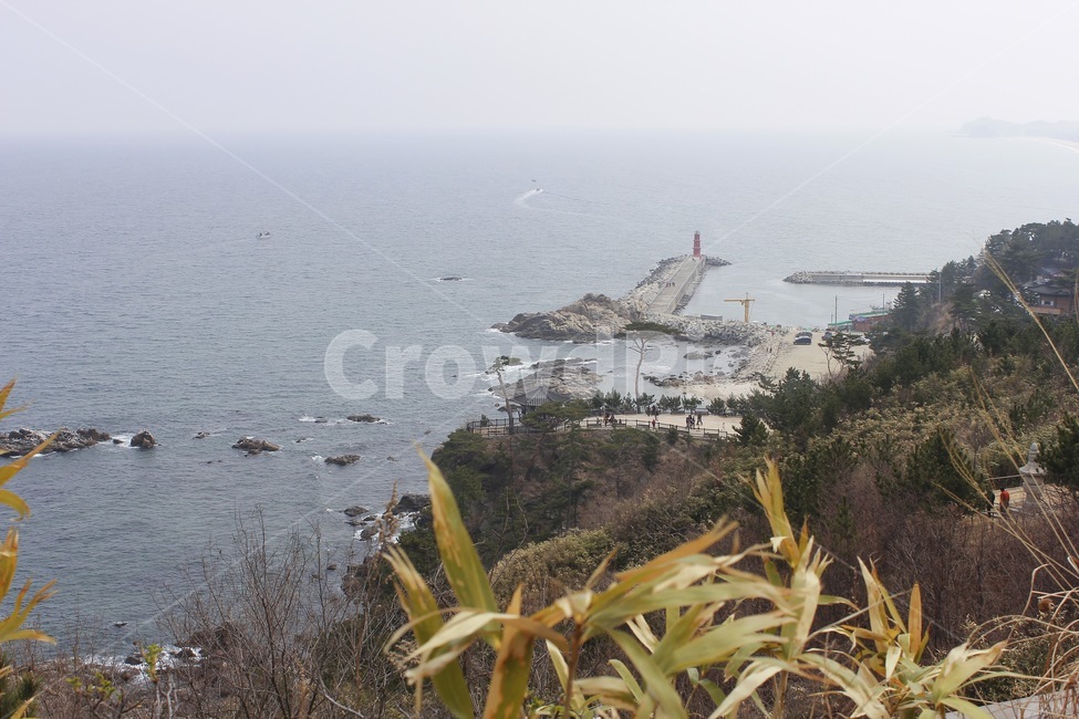 등대,등산로,산,바다,물,산책로,자연,풍경,nature,landscape,경치,outdoors,옥외,scenery,land,땅