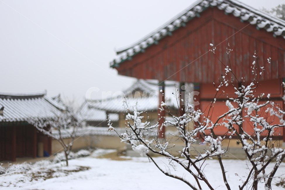 겨울풍경,눈꽃,winternature,겨울정취,winter,nature,겨울,계절,winter,season,한국전통,한국문화,korean traditional,korean culture,건축물,건물외관,exterior,building,structure,architecture,construction