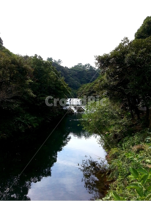 수풀,산,냇가,하천,제주도,바위,나무,나뭇잎,초록,풍경,그림자,물그림자