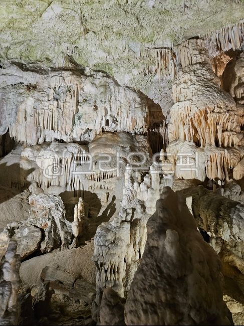 cave,Postojna Cave,nature,lime,karst terrain,Postojna,Slovenian,karst,balkan,llama,balkan peninsula,limestone cave,postoija,Yama Cave,europe