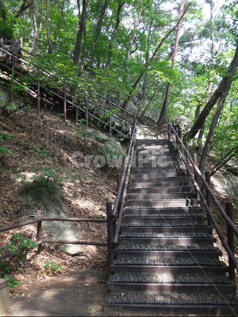 산속,숲길,계단,나무,자연,자연,풍경,nature,landscape,garden,정원,outdoors,옥외,staircase
