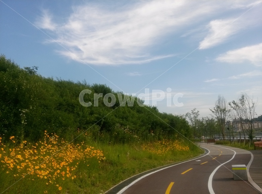 자연,nature,물,water,저수지,reservoir,여름,잔디,grass
