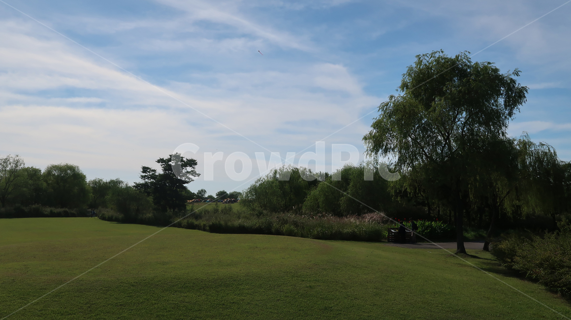 grass,잔디,plant,식물,field,들,공원,park,야외,outdoors,tree,나무,sky,하늘,blue,green,초록,가을,autumn,fall,자연,풍경,nature,landscape