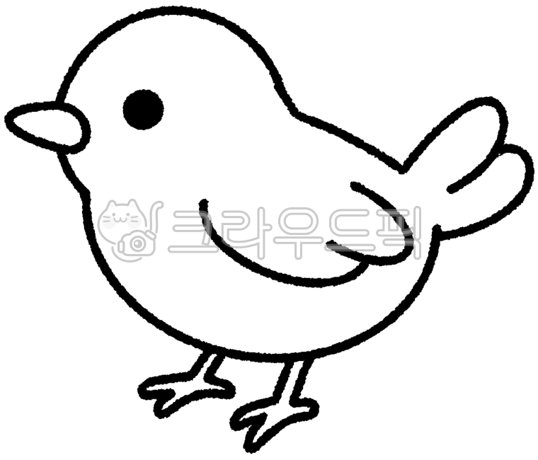 새,새일러스트,새그림,그림,동물,bird,색칠공부,채색,채색공부,병아리,일러스트,아기새,귀여운,삽화