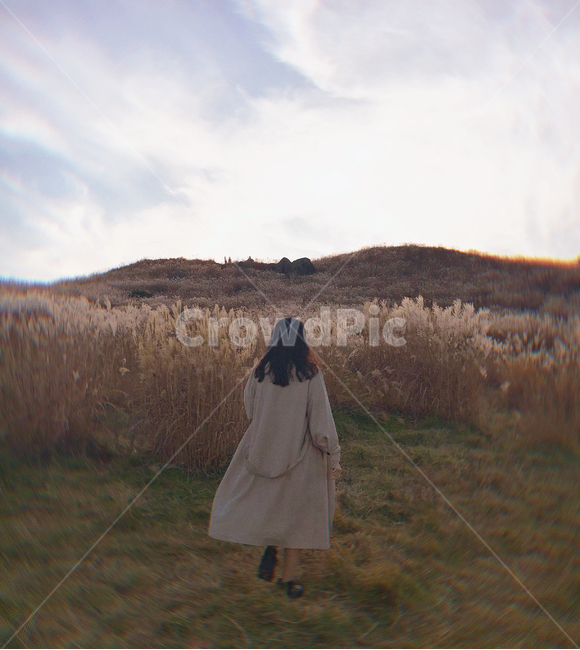 갈대밭,여자,전신,뒷모습,갈대,풍경,인물,여자뒷모습,여자전신,자연,트렌치코트,몽환적,역동적,가을,긴머리,가을,계절,fall,autumn,season,사람,인물,인간,human,person,여성,여자,woman,female,lady,여행,휴가,traveling,vacation,trip