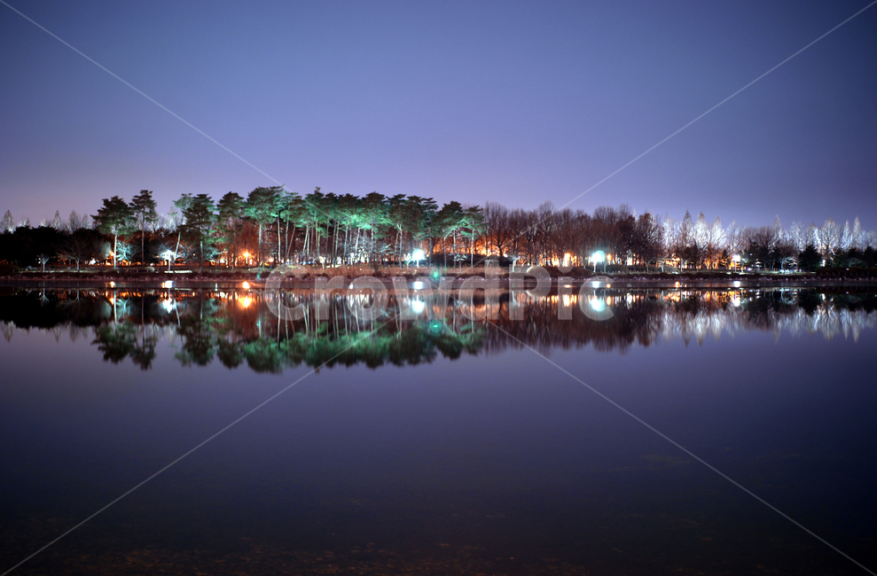 호수,호수공원,일산,반영,조명,자연,풍경,nature,landscape,야경,밤,nightscape,night,water,물,outdoors,옥외,lake