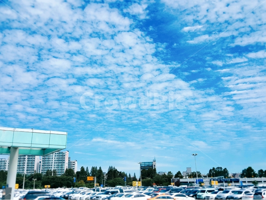 nature,자연,하늘,구름,파란하늘,맑은날씨,sky,crowd,sunny,자동차,car,outdoors,옥외