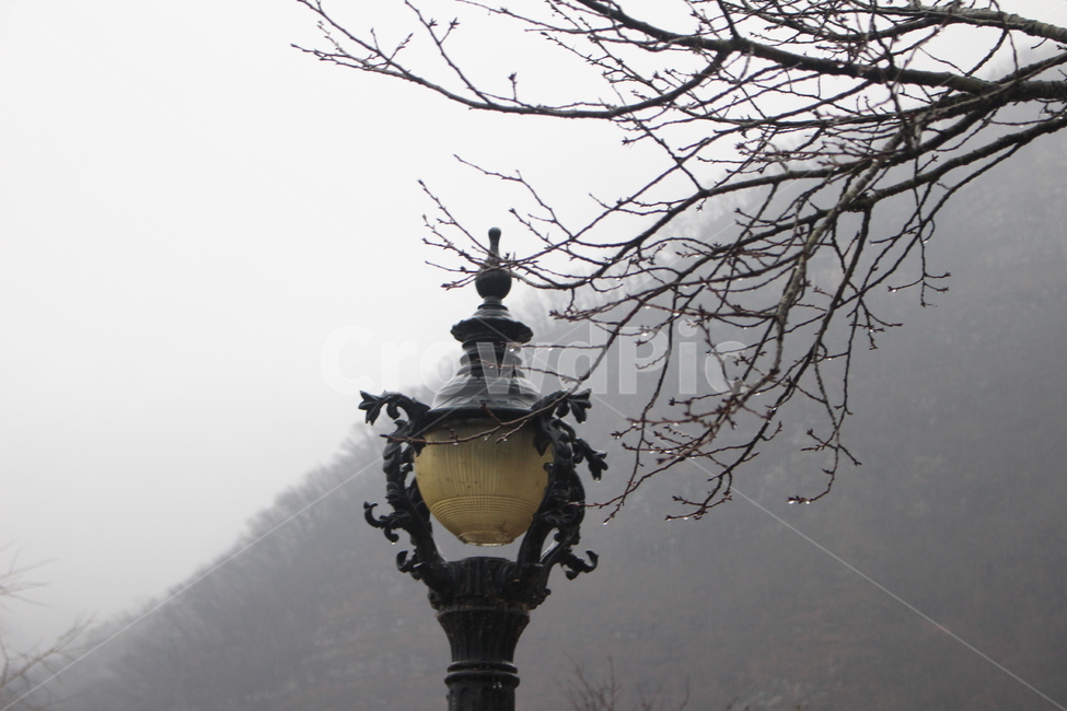 lamppost,램프포스트,비,비오는날,안개